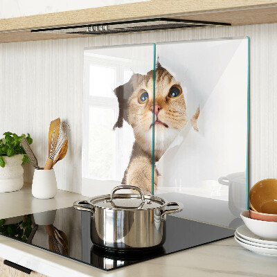 Snijplanken glas Een kat kijkt door een gat in de muur