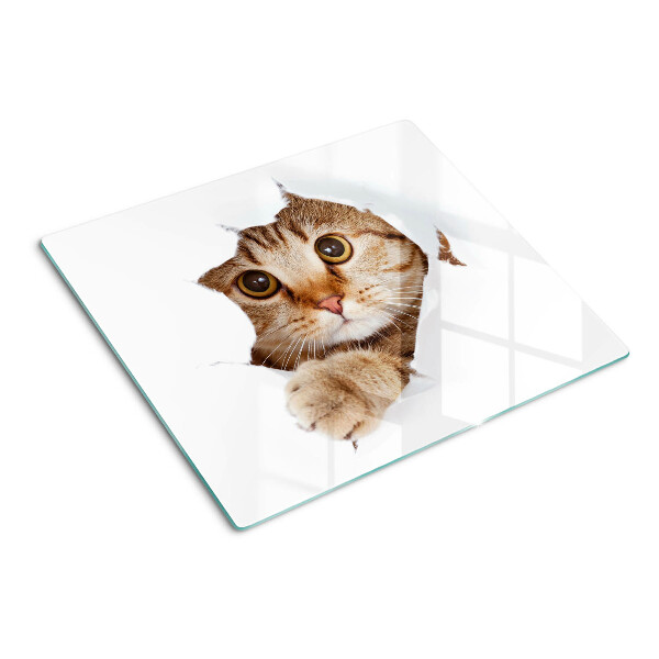 Glazen snijplanken Een kat die uit een gat komt