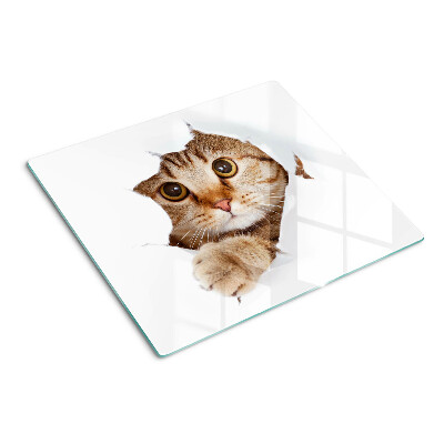 Glazen snijplanken Een kat die uit een gat komt