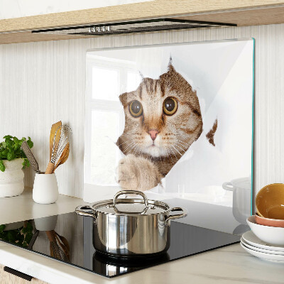 Glazen snijplanken Een kat die uit een gat komt