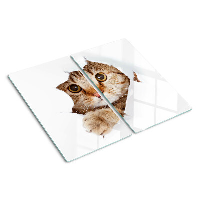 Glazen snijplanken Een kat die uit een gat komt