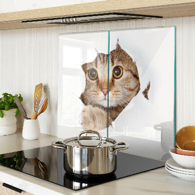 Glazen snijplanken Een kat die uit een gat komt
