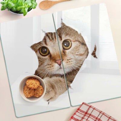 Glazen snijplanken Een kat die uit een gat komt