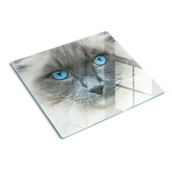 Snijplanken glas Kat met blauwe ogen