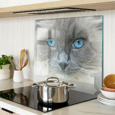Snijplanken glas Kat met blauwe ogen