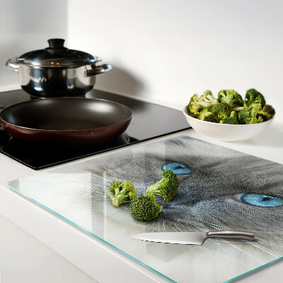 Snijplanken glas Kat met blauwe ogen