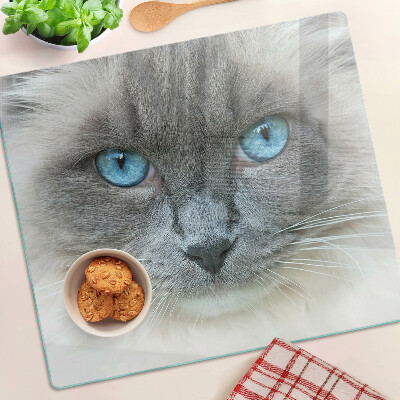 Snijplanken glas Kat met blauwe ogen