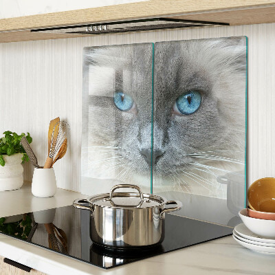 Snijplanken glas Kat met blauwe ogen