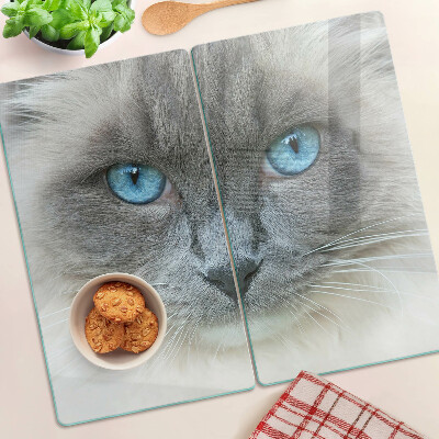 Snijplanken glas Kat met blauwe ogen