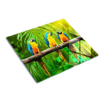 Snijplanken glas Papegaaien op een tak in de tropen
