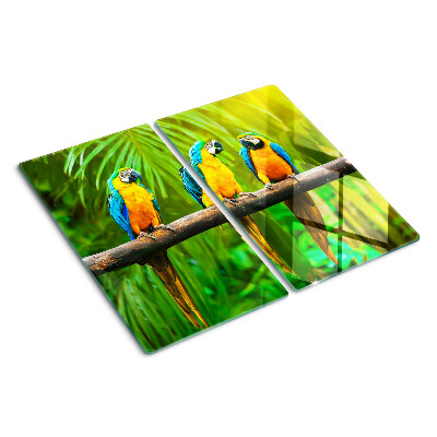 Snijplanken glas Papegaaien op een tak in de tropen