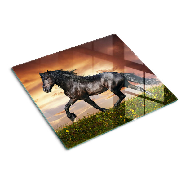 Snijplanken glas Een paard tegen de achtergrond van de ondergaande zon