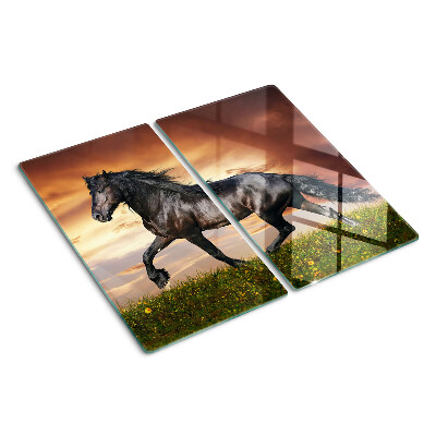 Snijplanken glas Een paard tegen de achtergrond van de ondergaande zon