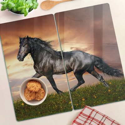 Snijplanken glas Een paard tegen de achtergrond van de ondergaande zon