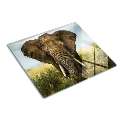 Snijplanken glas Een olifant tegen de achtergrond van de Afrikaanse savanne