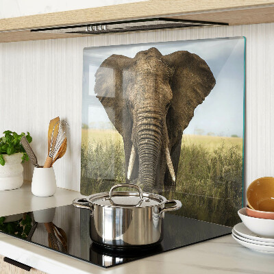 Snijplanken glas Een olifant tegen de achtergrond van de Afrikaanse savanne