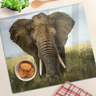 Snijplanken glas Een olifant tegen de achtergrond van de Afrikaanse savanne