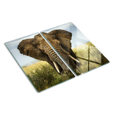 Snijplanken glas Een olifant tegen de achtergrond van de Afrikaanse savanne