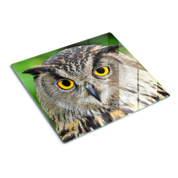 Snijplanken glas Uil met expressieve ogen
