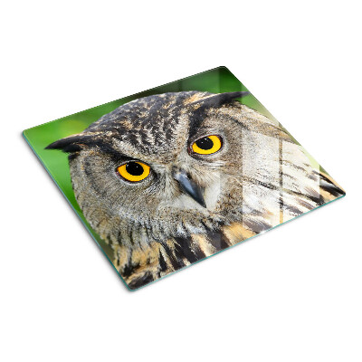 Snijplanken glas Uil met expressieve ogen