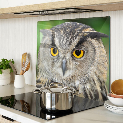 Snijplanken glas Uil met expressieve ogen