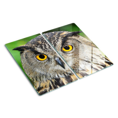 Snijplanken glas Uil met expressieve ogen