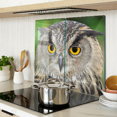 Snijplanken glas Uil met expressieve ogen
