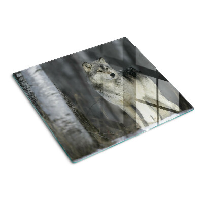 Snijplanken glas Wolf in een bosrijke omgeving