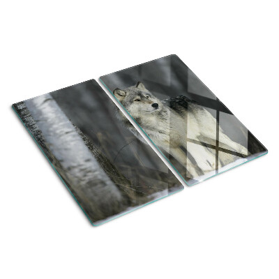Snijplanken glas Wolf in een bosrijke omgeving