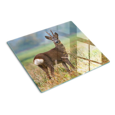 Glazen snijplanken Reeën in natuurlijke habitat