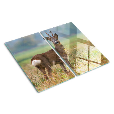 Glazen snijplanken Reeën in natuurlijke habitat