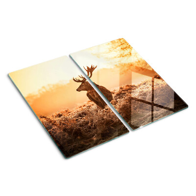 Snijplanken glas Herten tegen de achtergrond van de zonsondergang