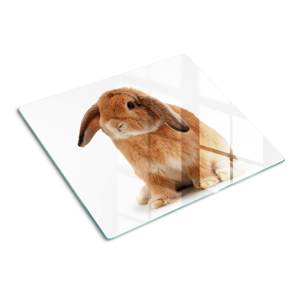 Snijplanken glas Konijn op een witte achtergrond