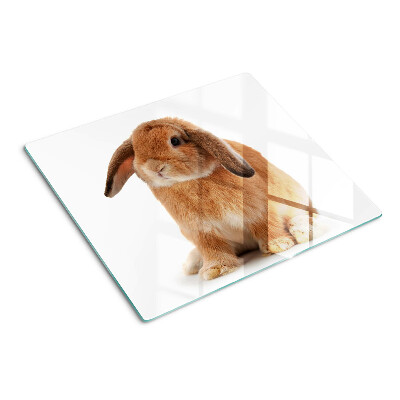 Snijplanken glas Konijn op een witte achtergrond