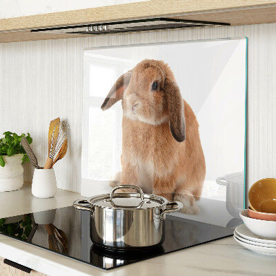Snijplanken glas Konijn op een witte achtergrond