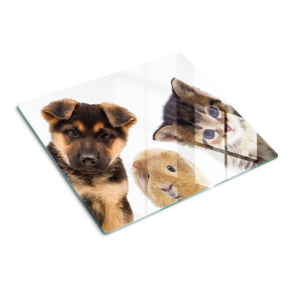 Glazen snijplanken Honden, katten, konijnen