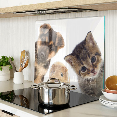 Glazen snijplanken Honden, katten, konijnen