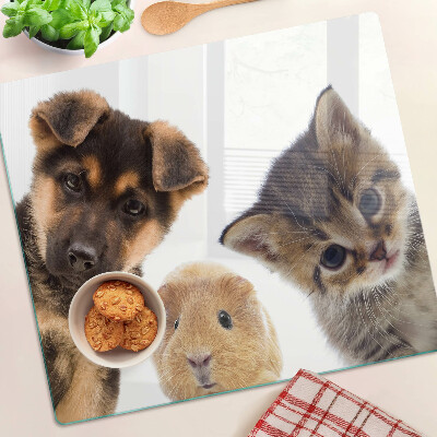 Glazen snijplanken Honden, katten, konijnen