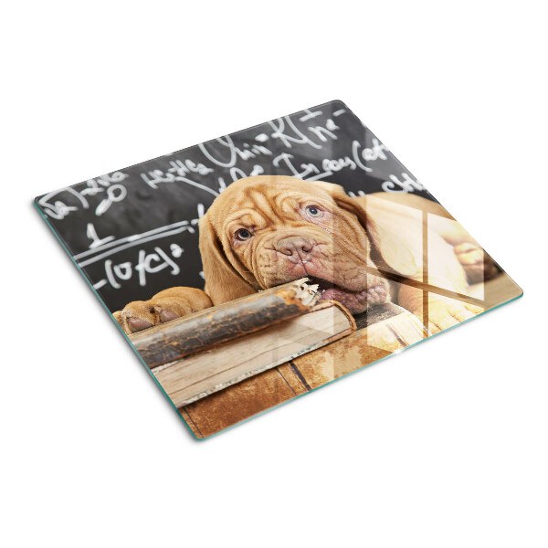 Snijplanken glas Hond met boeken en een schoolbord
