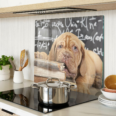 Snijplanken glas Hond met boeken en een schoolbord