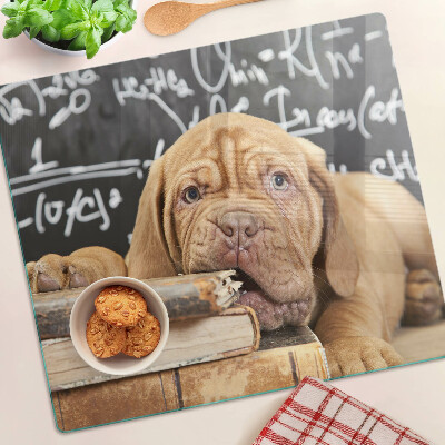 Snijplanken glas Hond met boeken en een schoolbord
