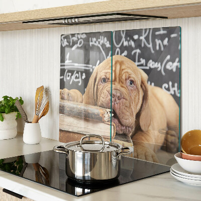 Snijplanken glas Hond met boeken en een schoolbord