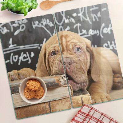 Snijplanken glas Hond met boeken en een schoolbord
