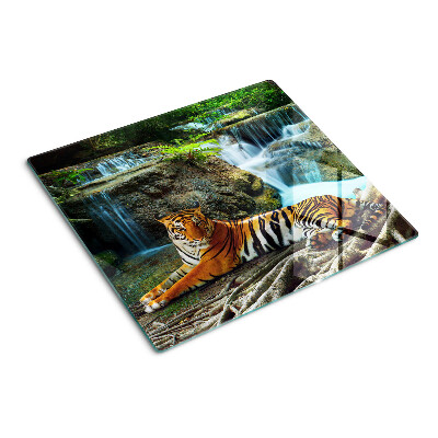 Snijplanken glas Tijger in zijn natuurlijke habitat
