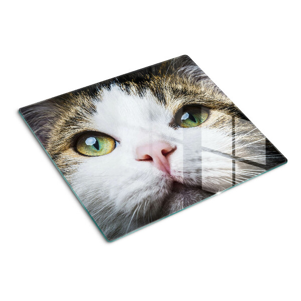 Snijplanken glas Kat met groene ogen