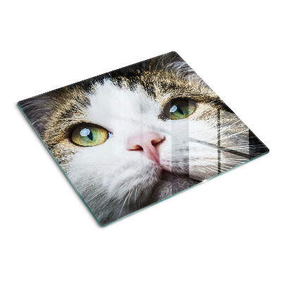 Snijplanken glas Kat met groene ogen