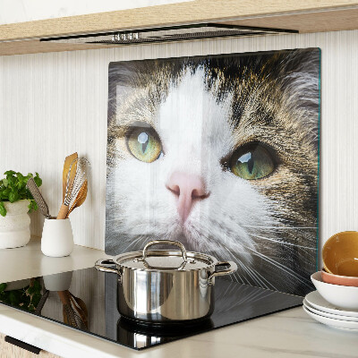 Snijplanken glas Kat met groene ogen