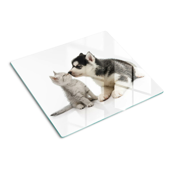 Snijplanken glas Kitten en puppy in vriendschap
