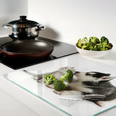 Snijplanken glas Kitten en puppy in vriendschap