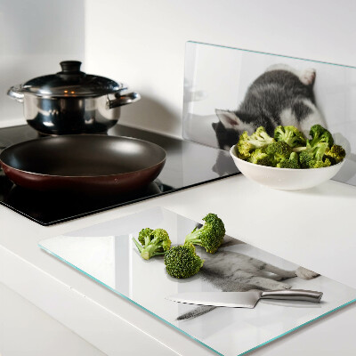 Snijplanken glas Kitten en puppy in vriendschap